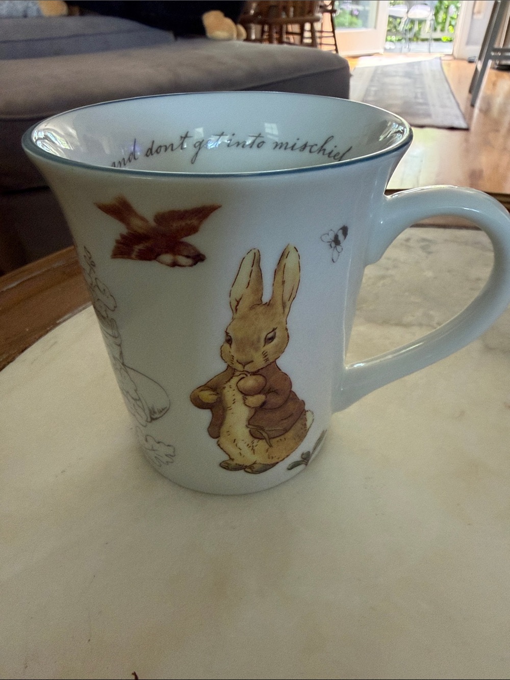 the World of Beatrix Potter Peter Rabbit Illustated Mug 2022